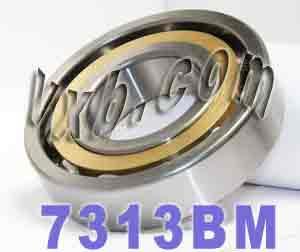 7313BM Angular Contact bearing Bronze Cage 65x140x33