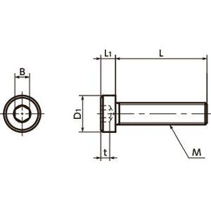 10-Pack Made in Japan SLHL-M5-12 NBK Socket Head Cap Screws - Low Profile