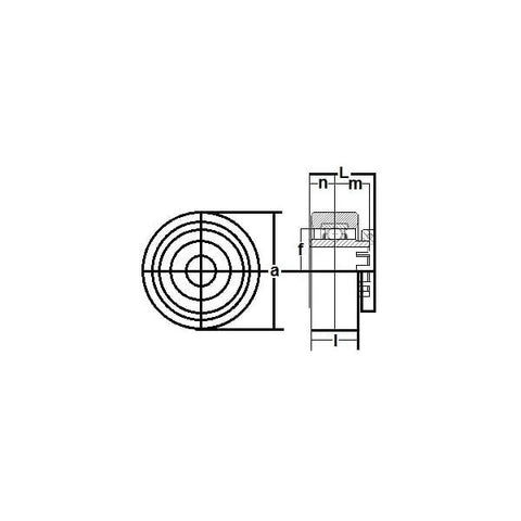RCSM-16GRR Rubber Cartridge Wide Inner Ring 1 Inch Bearing