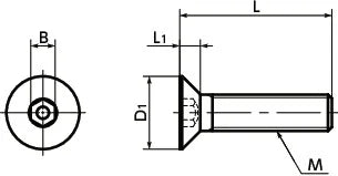 SNFCM-M4-12 NBK Hexagon Socket Countersunk Head Screw - Molybdenum One Screw Made in Japan