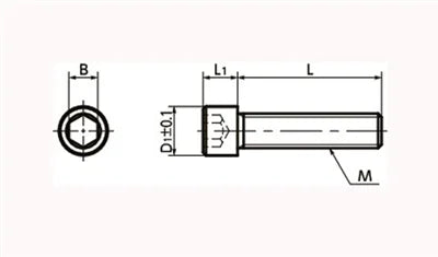 SNS-M10-20-SD NBK Black Socket Head Cap Screws - Small Head - 10-Pack Made in Japan