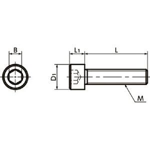 SNSJ-M10-40 NBK Socket Head Cap Screws - SUS310S- Made in Japan