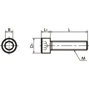 SNSP-M3-12 NBK Socket Head Cap Screw - Phosphor Bronze Made in Japan - VXB Ball Bearings