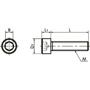 SPDC-M8-30-C NBK Plastic Screw - Socket Head Cap Screws - VESPEL(Grade:SCP-5000) Made in Japan - VXB Ball Bearings