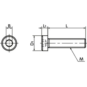 SPE-M6-30-LC NBK Plastic screw - Hex Socket Low Head Bolt - PEEK Made in Japan - VXB Ball Bearings