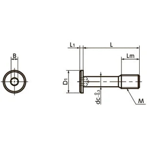 SSCHS-M5-20 NBK Socket Head Cap Captive Screws with Special Low Profile Made in Japan - VXB Ball Bearings