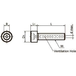 SVST-M4-8 NBK Hex Socket Head Cap Vacuum Vented Screws - Ventilation Hole - Titanium M4 length 8mm Made in Japan