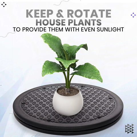 10 Inch Lazy Susan Turntable Organizer with large non skid rotating swivel base holding a potted plant, black