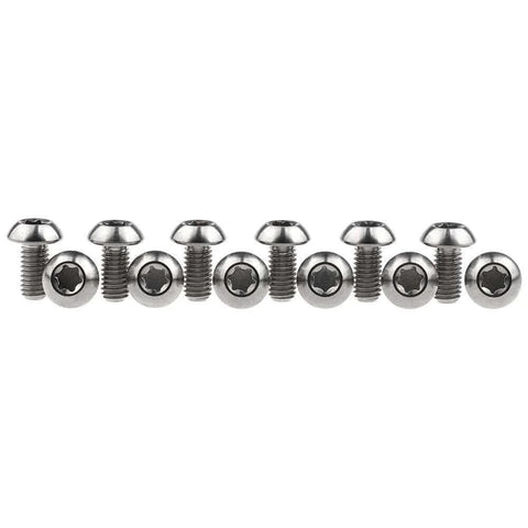 12 Pcs M5x10 Titanium Torx Bolts for Bicycle Disc Brake Rotors in a row, featuring T25 Torx head and natural titanium finish.
