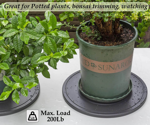 16 Inch Lazy Susan Turntable Heavy Duty Rotating Swivel Stand with Steel Ball Bearings holding bonsai plant