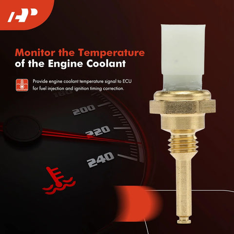Engine coolant temperature sensor, two-pin, brass body with white plastic connector.