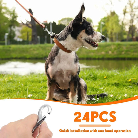 Dog on leash by lake using 24 Pcs Swivel Snap Hooks For Dog Leash Heavy Duty Two Point Seven Six Inch Flag Clasp