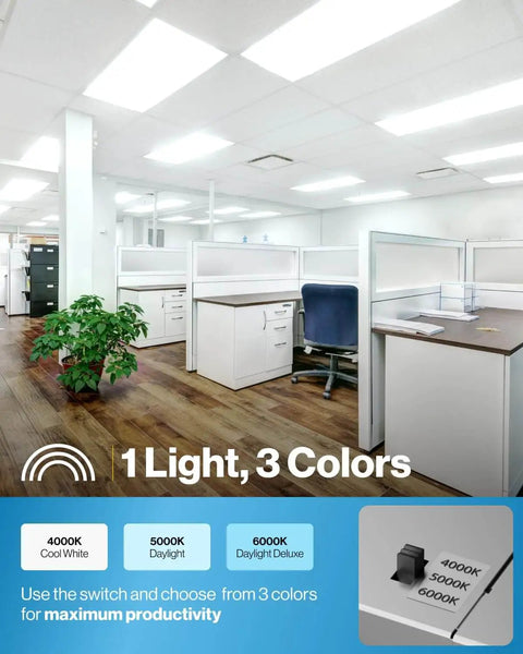 Office with 2x4 LED Flat Panel Ceiling Light, Pack Of 12, Dimmable 0-10V, Selectable CCT 4000K, 5000K, 6000K Options