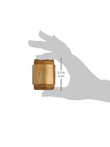 Eastman Brass In-Line Check Valve, 1-Inch IPS threaded connection, stainless steel spring.