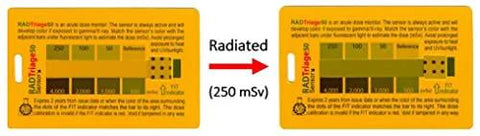 Rad Triage 50 personal radiation detector card, wallet-size orange cards front and back with 250 mSv radiated label.