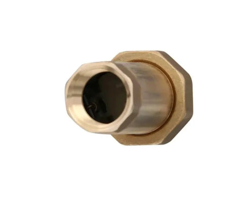 Brass lead-free MPT dual check valve, 3/4-inch, one-piece