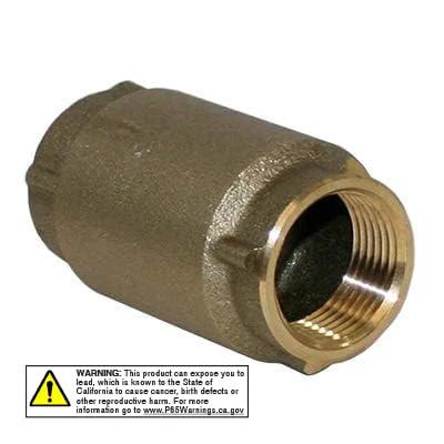 Brass 1-inch check valve with threaded ends for inline plumbing.