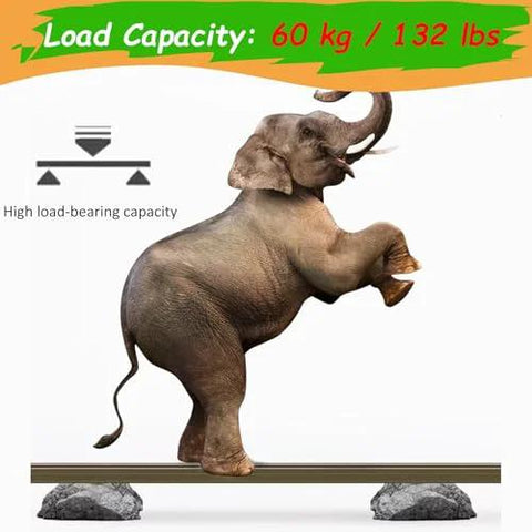 Elephant balancing on rail demonstrating Hidden Track Sliding Barn Door Hardware Kit With Soft Close System adjustable mounts