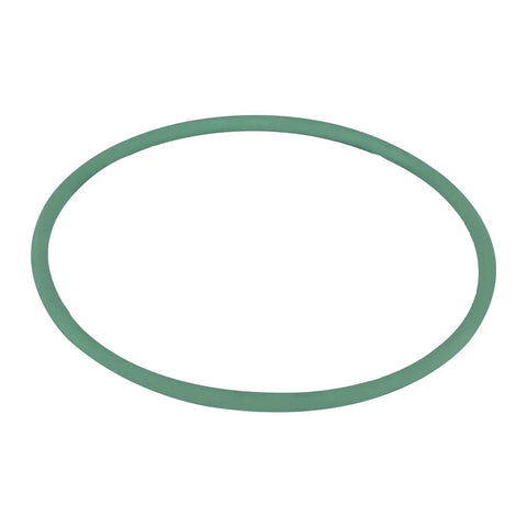 Green rubber seal for Electric Fuel Pump Module Assembly For Dodge Journey 2009 Through 2019 2.4L 3.5L 3.6L V6 Engines Replacement