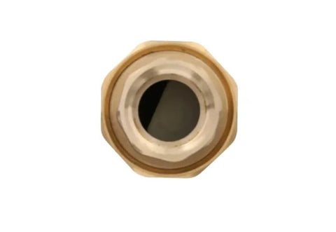 Brass MPT dual check valve, 3/4-inch, one-piece, lead-free construction
