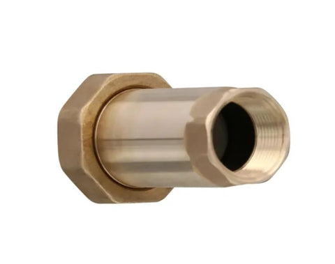 Watts LF7RU2-2 lead-free brass MPT dual check valve, 3/4 in, 1-piece