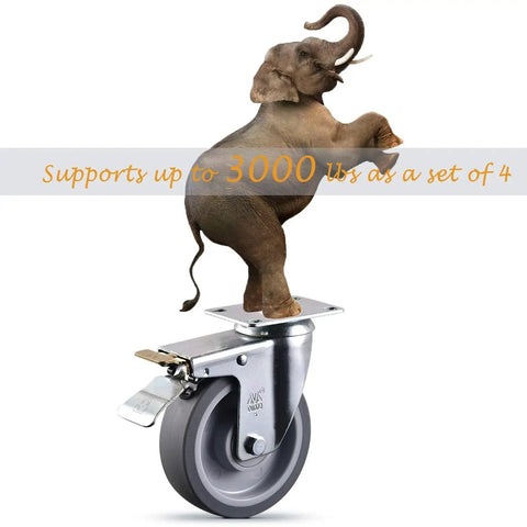 Elephant standing on 5 Inch Heavy Duty Caster Wheels Set Of 4 With Brakes Up To 3000 Lbs Per Wheel Swivel TPR Rubber Silent Castors