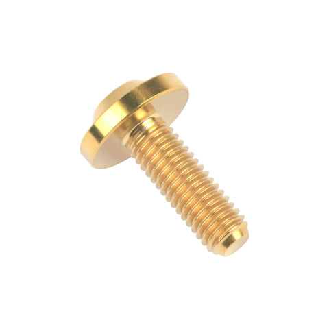 Gold torx bolt from Beefy Titanium M5x15mm Torx Head Bolt Set Gold For Bicycle And Motorcycle Built Tough With Grade 5 6AL 4V Titanium Alloy