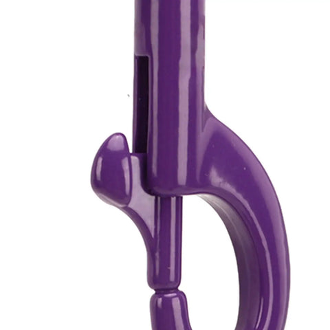 Purple swivel-eye bolt snap clip; close-up view showing latch and circular ring