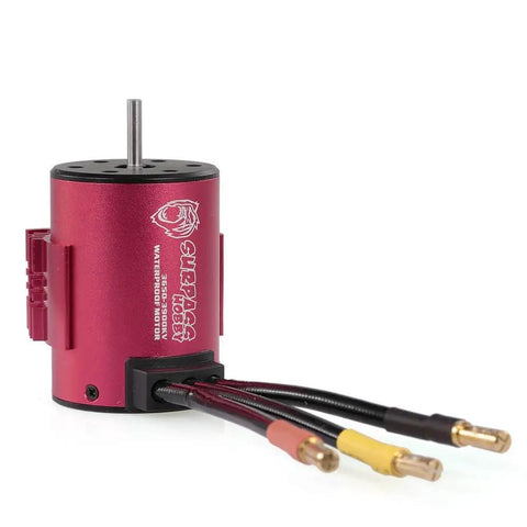 Front view of Surpass Hobby 3650 Brushless Motor And ESC Combo 3900KV Motor for 1/10 Scale RC Cars and Trucks.