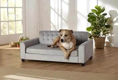 Dog lounging on a grey sofa with 2 Inch Wood Furniture Feet Set Of 4 Replacement Bun Feet with Predrilled M8 Bolts for Fast Screw In Sofa Couch Legs