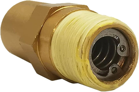 Zeiboat brass thermal relief valve for gas-powered pressure washer pump, 1/4 inch NPT