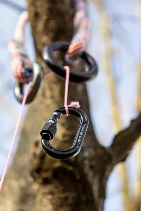 Mini Aluminum Keylock Screw-Lok Carabiner For Throwline Setup And Gear Mounting, black carabiner attached to tree, side view