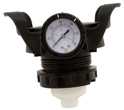 Waterway pressure relief valve assembly, crystal water, black plastic body with gauge