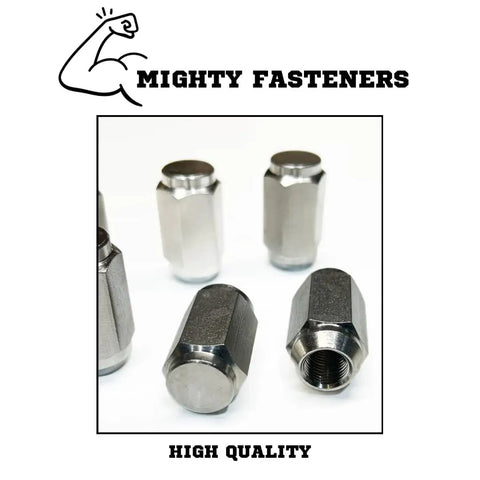 Acorn Lug Nuts For Trailers Half Inch Twenty Thread Stainless Steel 304 Electropolished Finish Rugged Durable Corrosion Resistant Wheel Nuts Set Ten Pack Mighty Fasteners