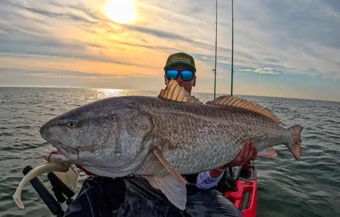 Angler holding a large fish on a boat during sunset, showcasing Offshore Fishing Speed Clip Bundle With 50 Heavy-Duty Stainless Steel Lure Clips.