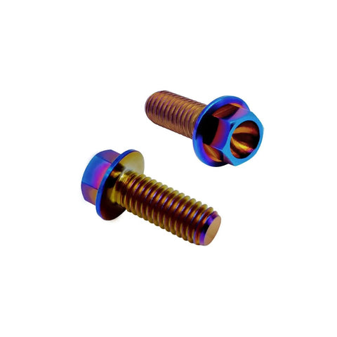 Titanium Flange Hex Head Bolts M6x1.0x13mm Burnt Blue 6AL4V Aerospace Grade Ti Bolts Pack Of 12 For Motorcycle And Car Modification