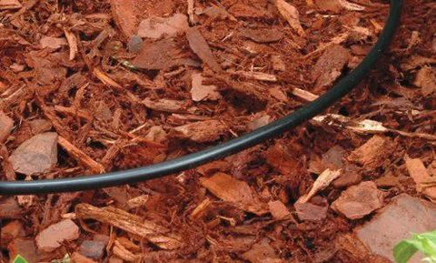 Drip irrigation tubing, 1/4 in blank distribution, black, 250 ft roll on mulch.