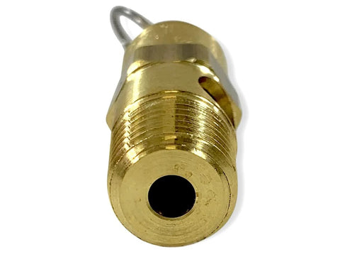 Brass 1/4 in. NPT safety relief valve, front view; threaded body with circular relief port, Made in USA.