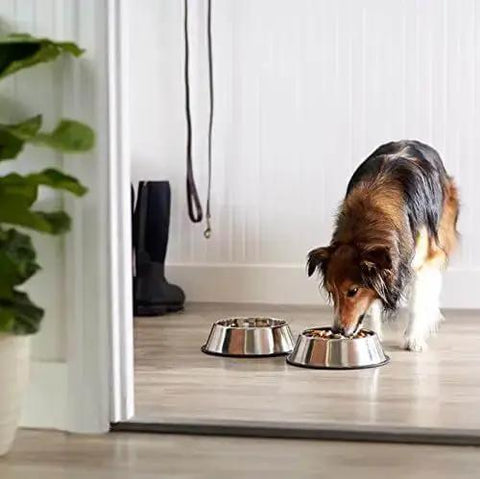 Dog eating from stainless steel non skid dog food and water bowls set of 2, dishwasher safe, rust resistant, 38 ounce capacity per bowl