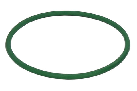 Green tank seal for Fuel Pump Module Assembly For 2005 2006 2007 GM Minivans And SUVs Including Uplander Montana Terraza Relay