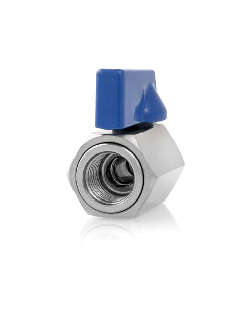 QWORK mini ball valve with blue square handle; stainless steel, 1/4 in NPT, female threaded end