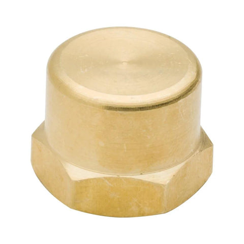 Brass pipe cap fitting, 3/4 in NPT female with hex head