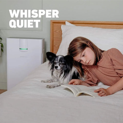 White Hathaspace air purifier (HSP002) on bedroom nightstand; green indicator, girl reads with a small dog on bed.