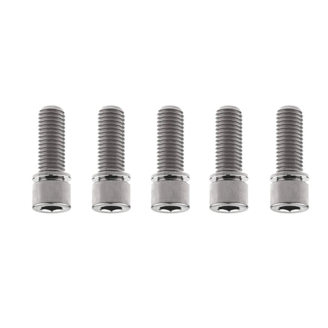 Ride Ready Titanium M7 Bolt With Washer 25mm Socket Cap Head Screws For Bike Parts Pack Of 5 on white background