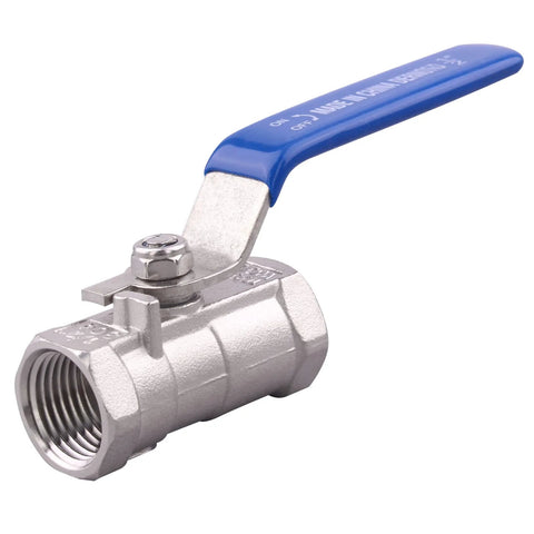 DERNORD 1/2 in stainless steel ball valve with blue lever handle and NPT port
