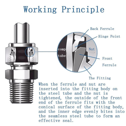 Cross-section diagram of a 304 stainless steel compression fitting, 1/4 in tube OD to 1/4 in NPT male adapter, with double ferrules.