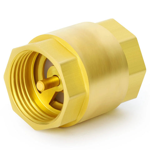 Brass check valve, 1-inch female thread, hexagonal body with inner stem visible