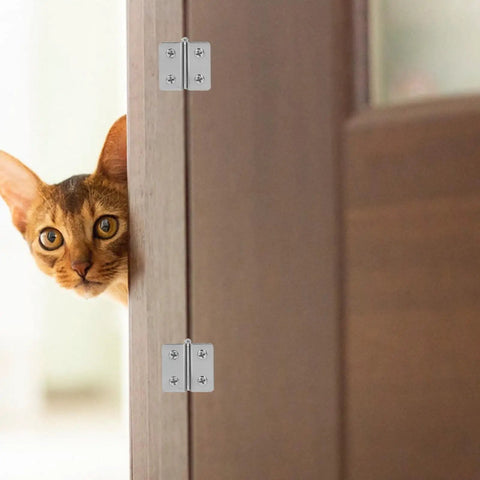 A cat peeking from a wooden door fitted with Heavy Duty Stainless Steel Glass Door Hinges 2 Pack For Cabinets And Display Cases, Adjustable Square Corner Hinge Set With Noiseless Smooth Operation, Ideal Cabinet Hardware For Glass Doors By Veemoon.