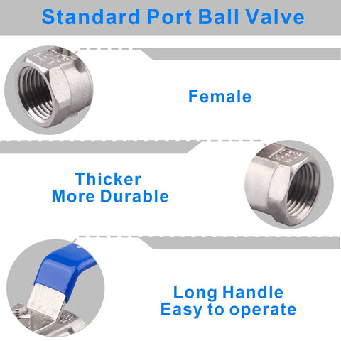 DERNORD 1/2 in stainless steel ball valve with blue lever handle and NPT standard port.