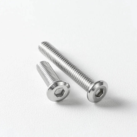 Two M5 x 25mm flat head hex socket cap screws on white background; part of 20 pack, 304 stainless steel, hex drive, fully threaded.